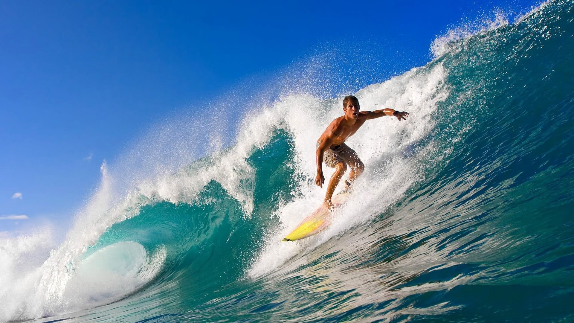 全明星赛阵容正式公布